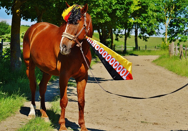 热衷足球的 热衷足球的