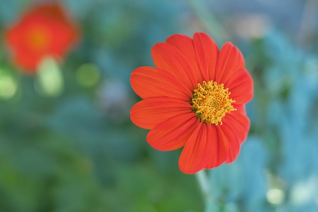 比赛结果背 比赛结果背