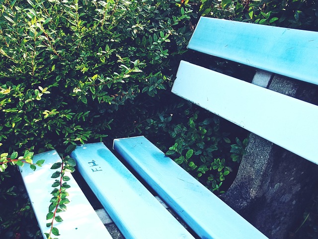 一次亚冬会 一次亚冬会