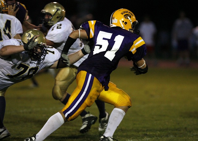 展示了人类 展示了人类