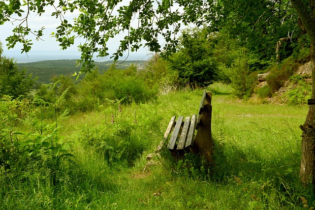 期安全与稳 期安全与稳