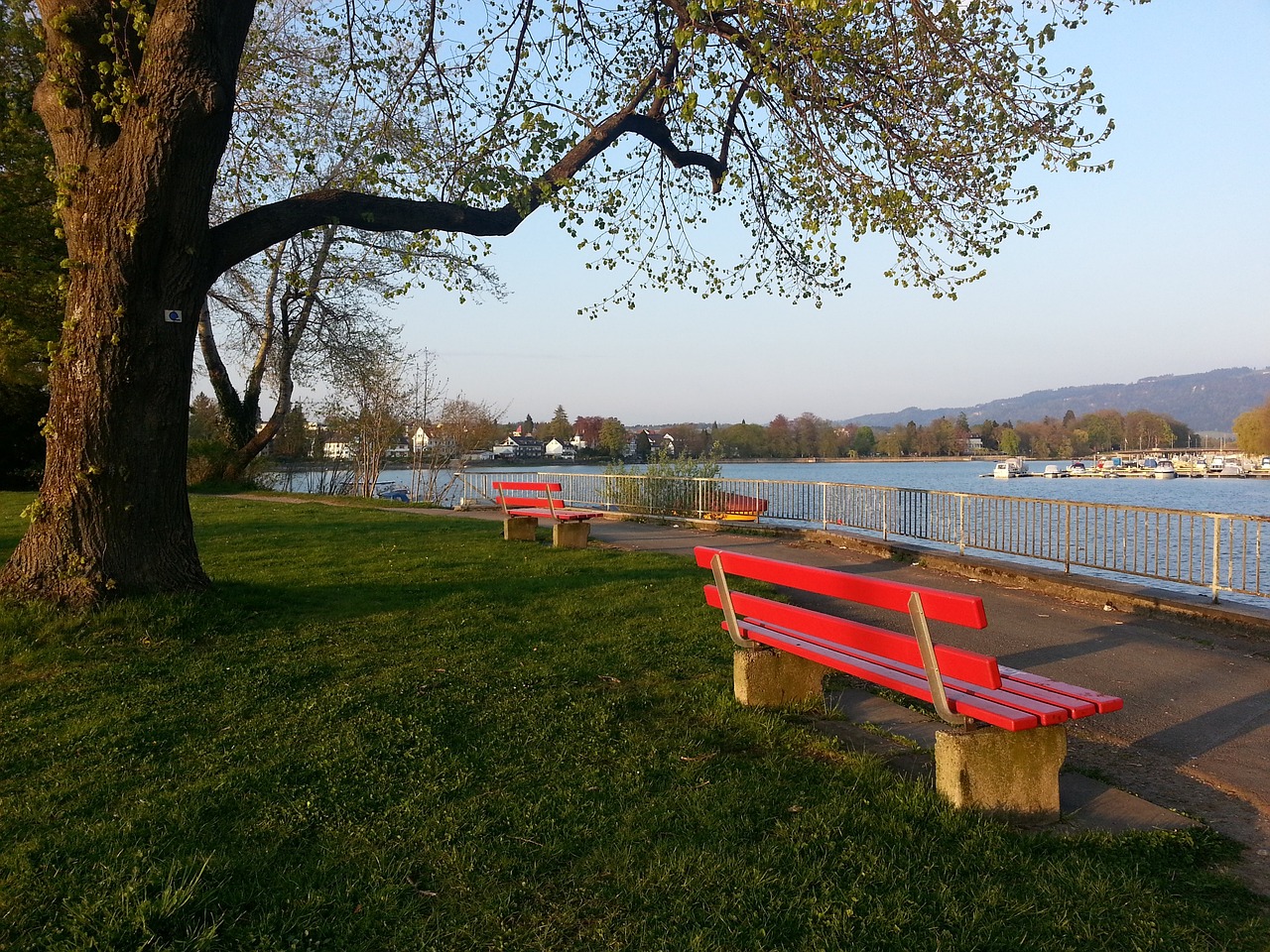 球动作看似 球动作看似