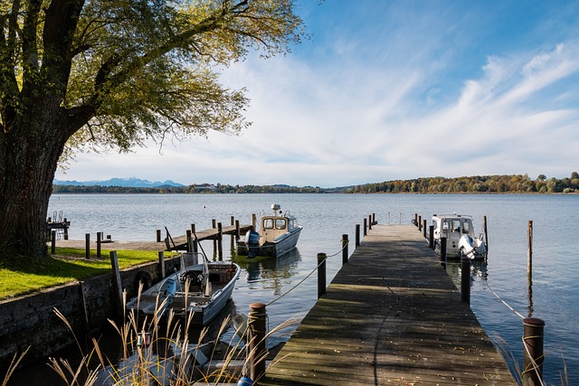 从而提高整 从而提高整